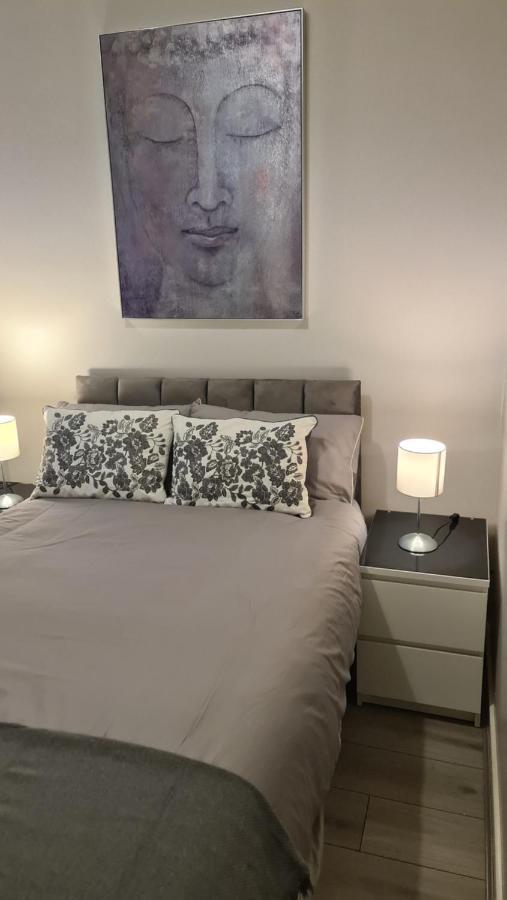 Alexandra Park Apartment 1 Μπέλφαστ Εξωτερικό φωτογραφία